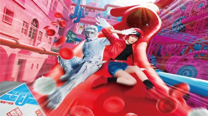 حصرياً | مشاهدة فيلم Hataraku saibou 2024 مترجم فيديو حلبية بجودة عالية