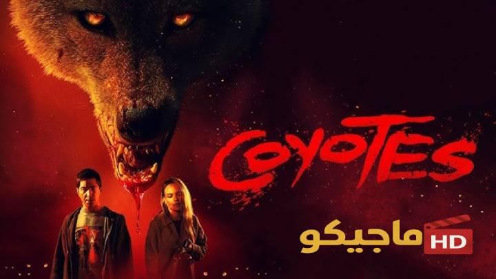 حصرياً | فيلم Coyotes 2025 مترجم اون لاين بجودة عالية