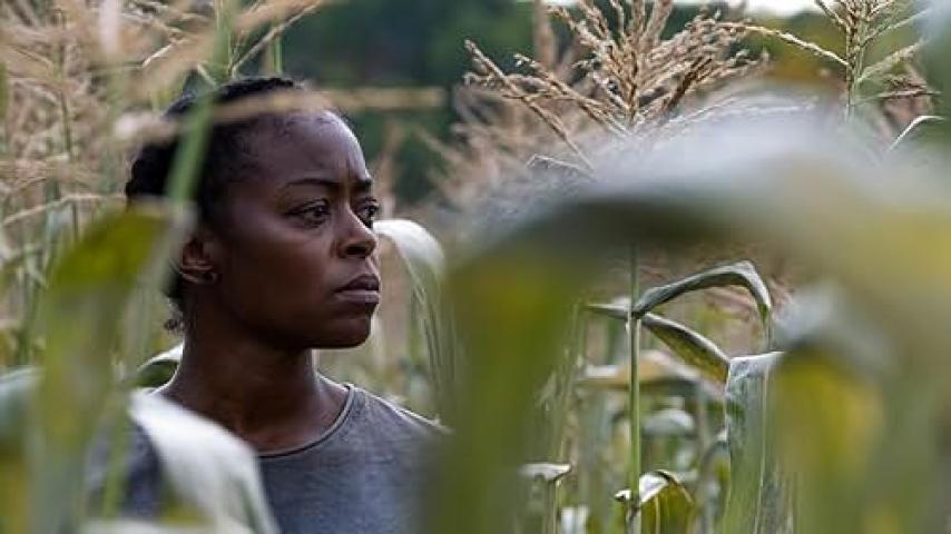 حصرياً | فيلم 40 Acres 2024 مترجم فيديو حلبية بجودة عالية