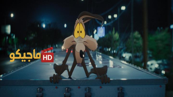 حصرياً | مشاهدة فيلم Coyote vs. Acme 2026 مترجم بجودة عالية