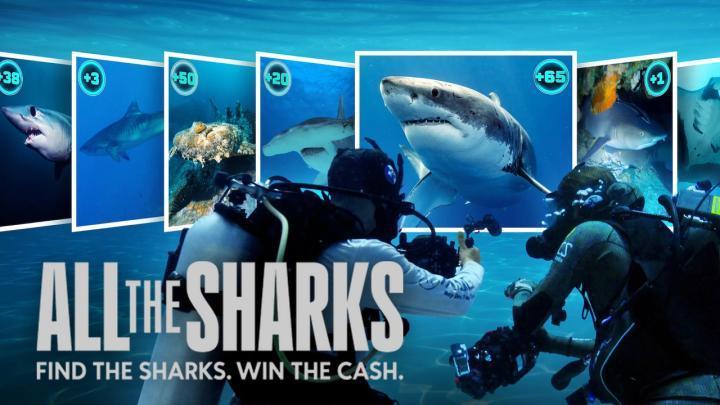 حصرياً | مسلسل All the Sharks الموسم الاول الحلقة 5 بجودة عالية