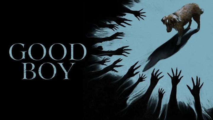 حصرياً | مشاهدة فيلم Good Boy 2025 مترجم HD بجودة عالية
